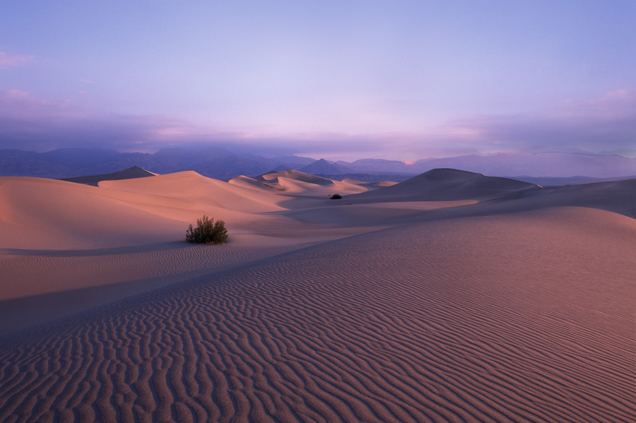 Death Valley Dunes